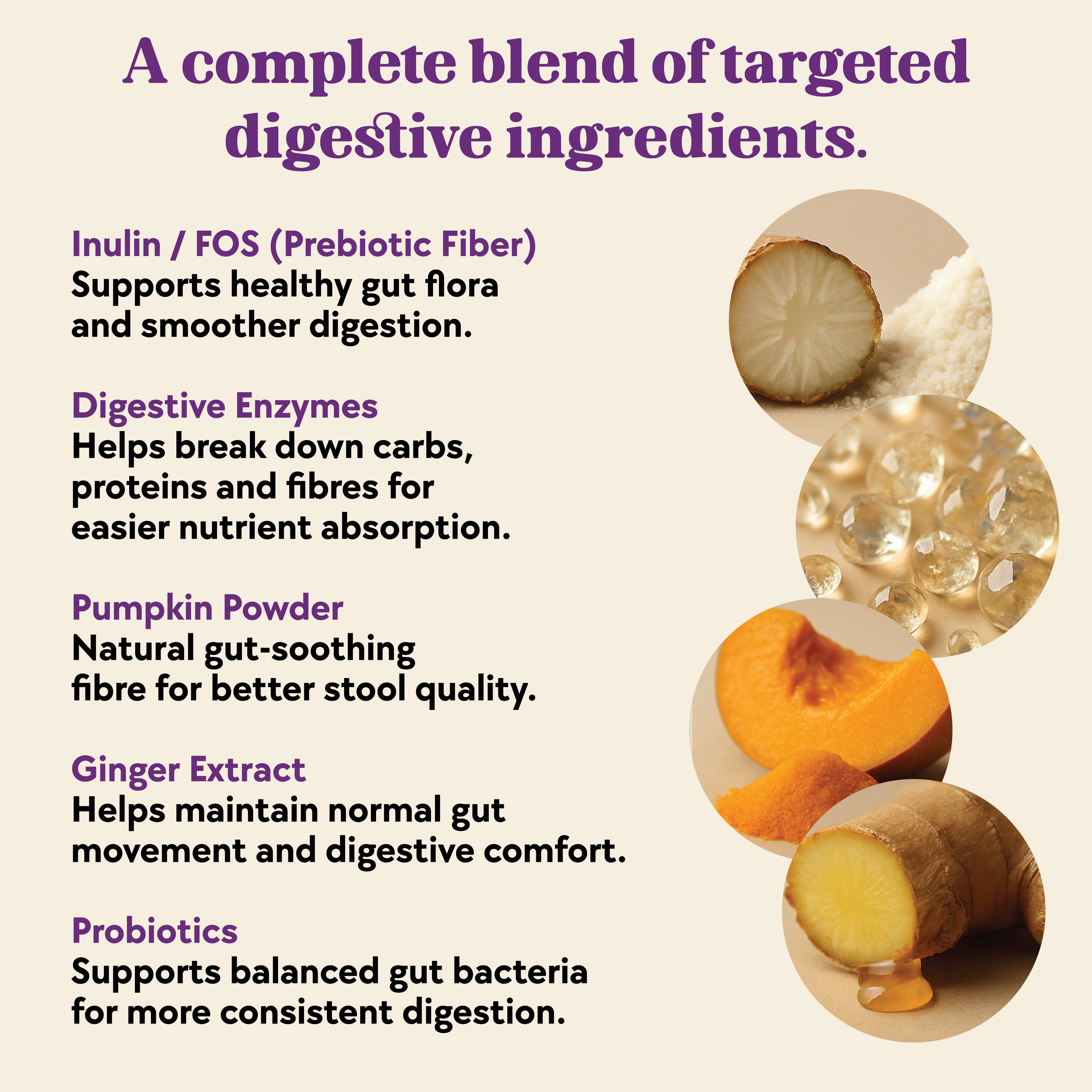 Digestive Support Formula