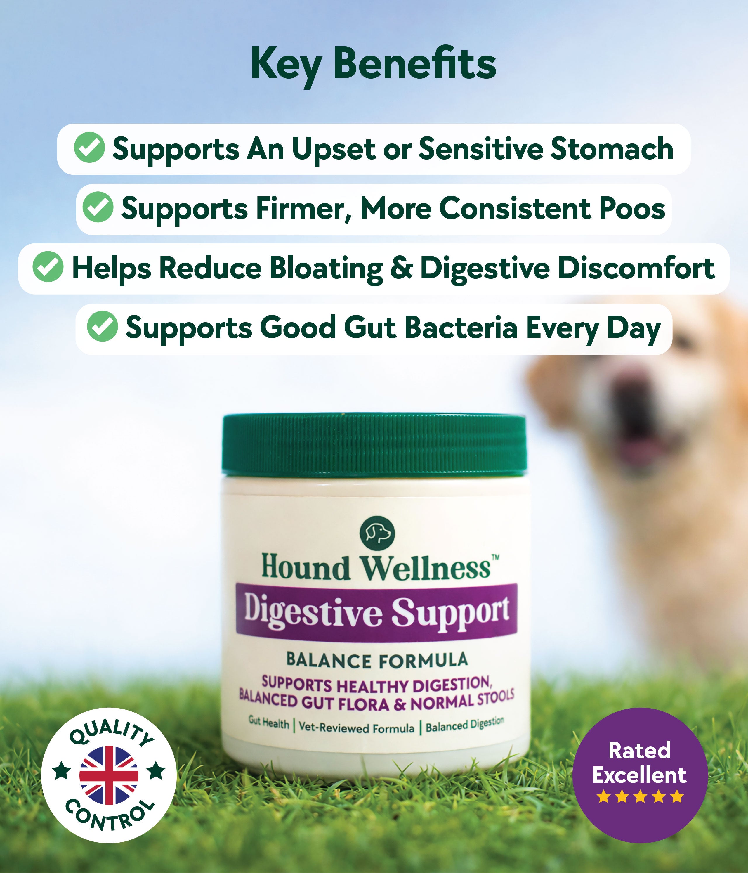 Digestive Support Formula