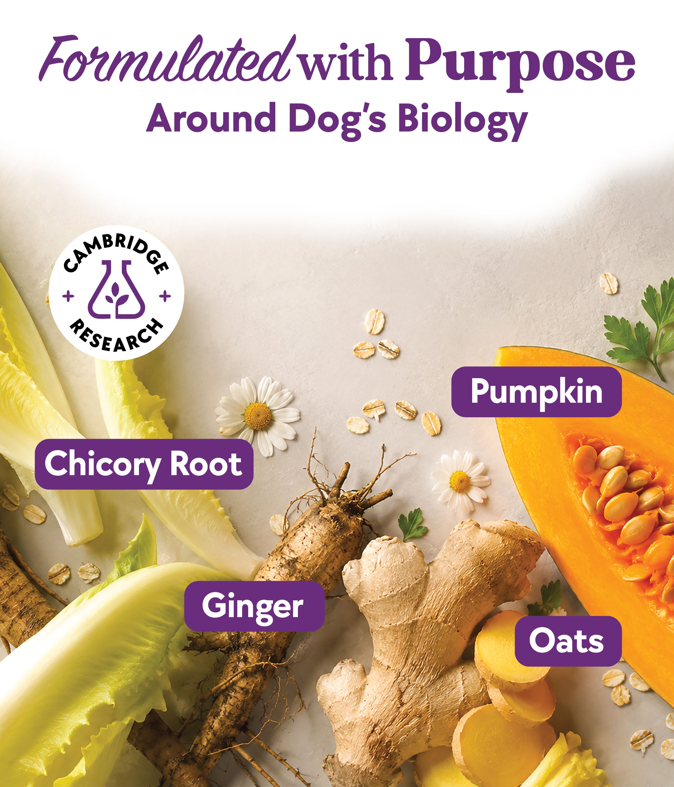 Digestive Support Formula