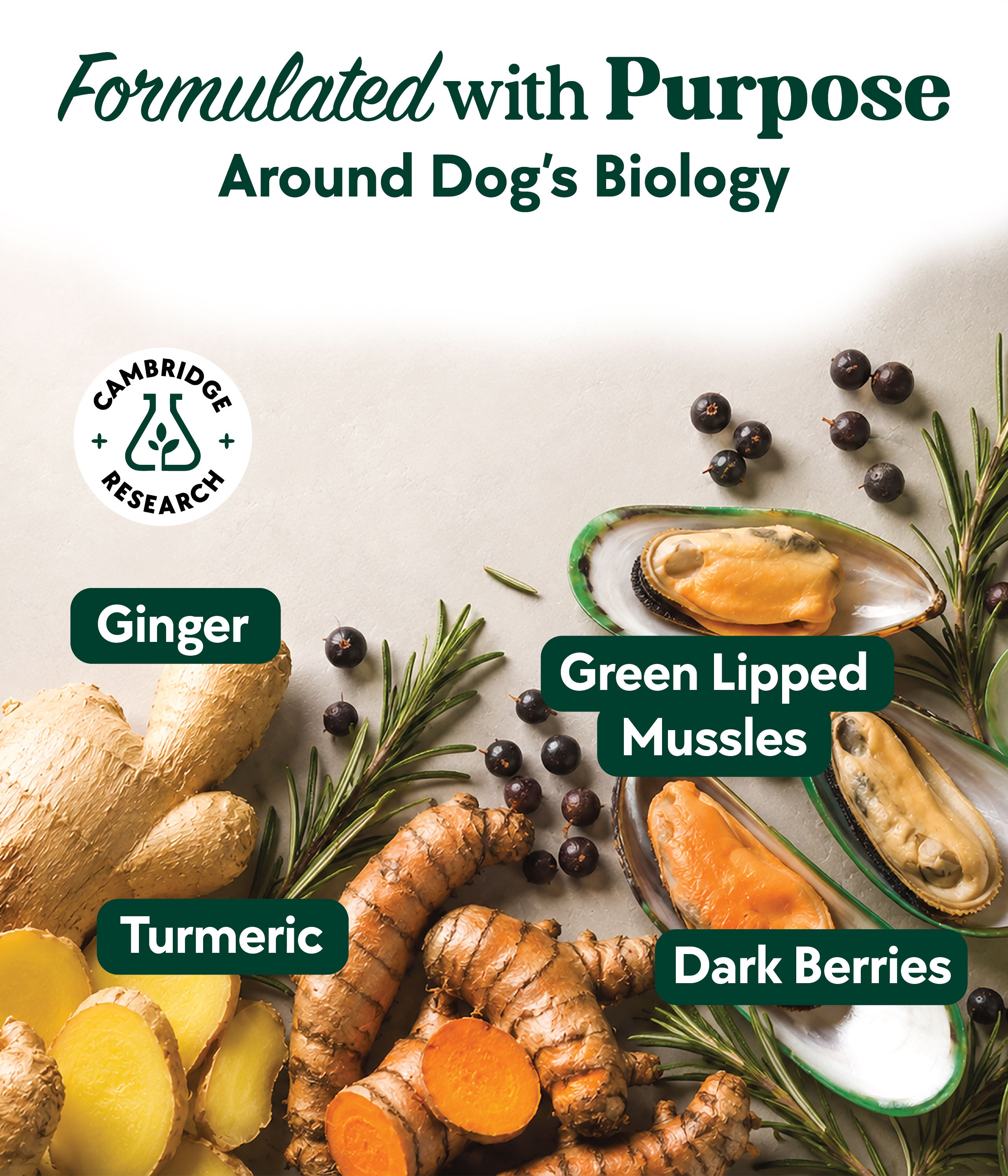 Hip & Joint Formula