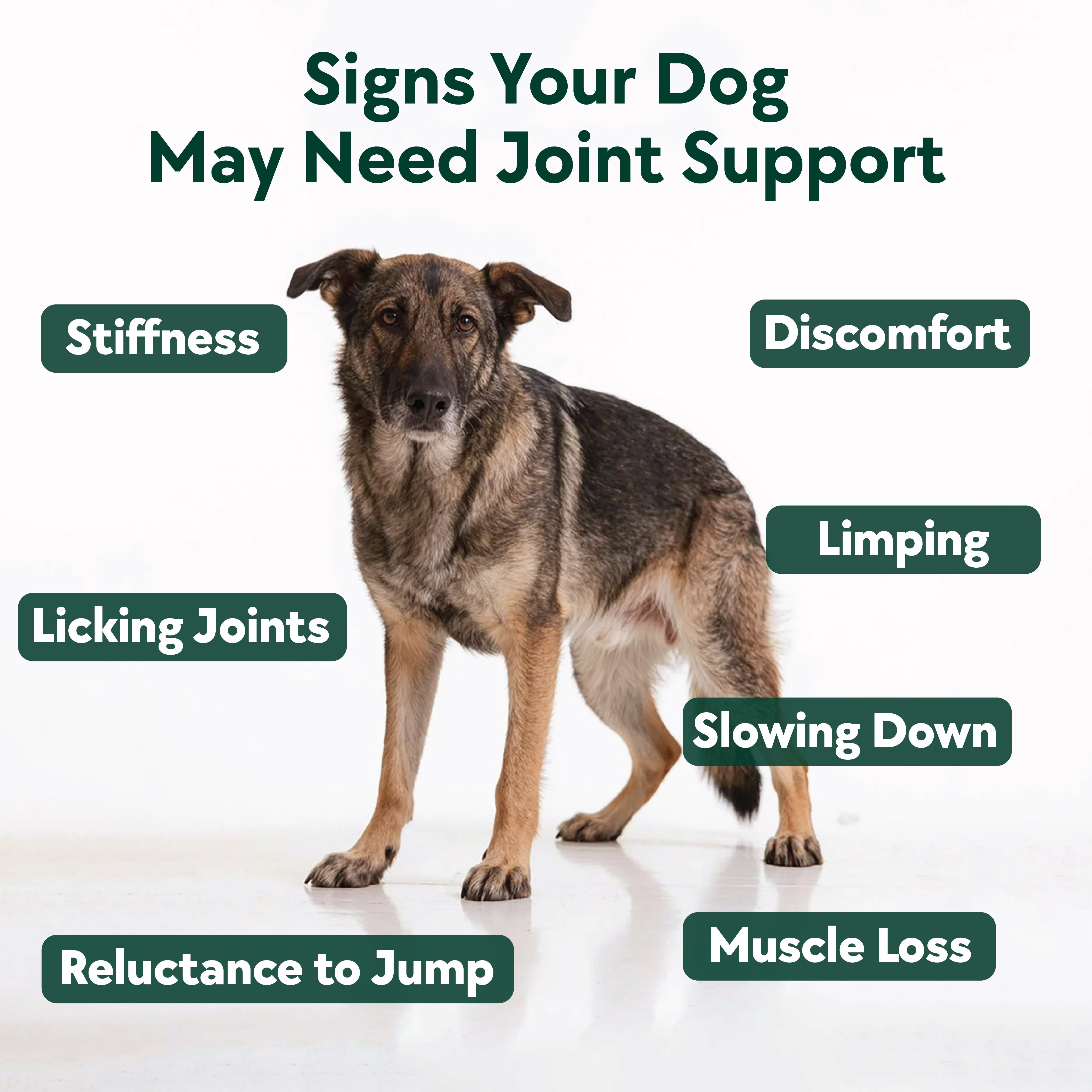 Hip & Joint Formula