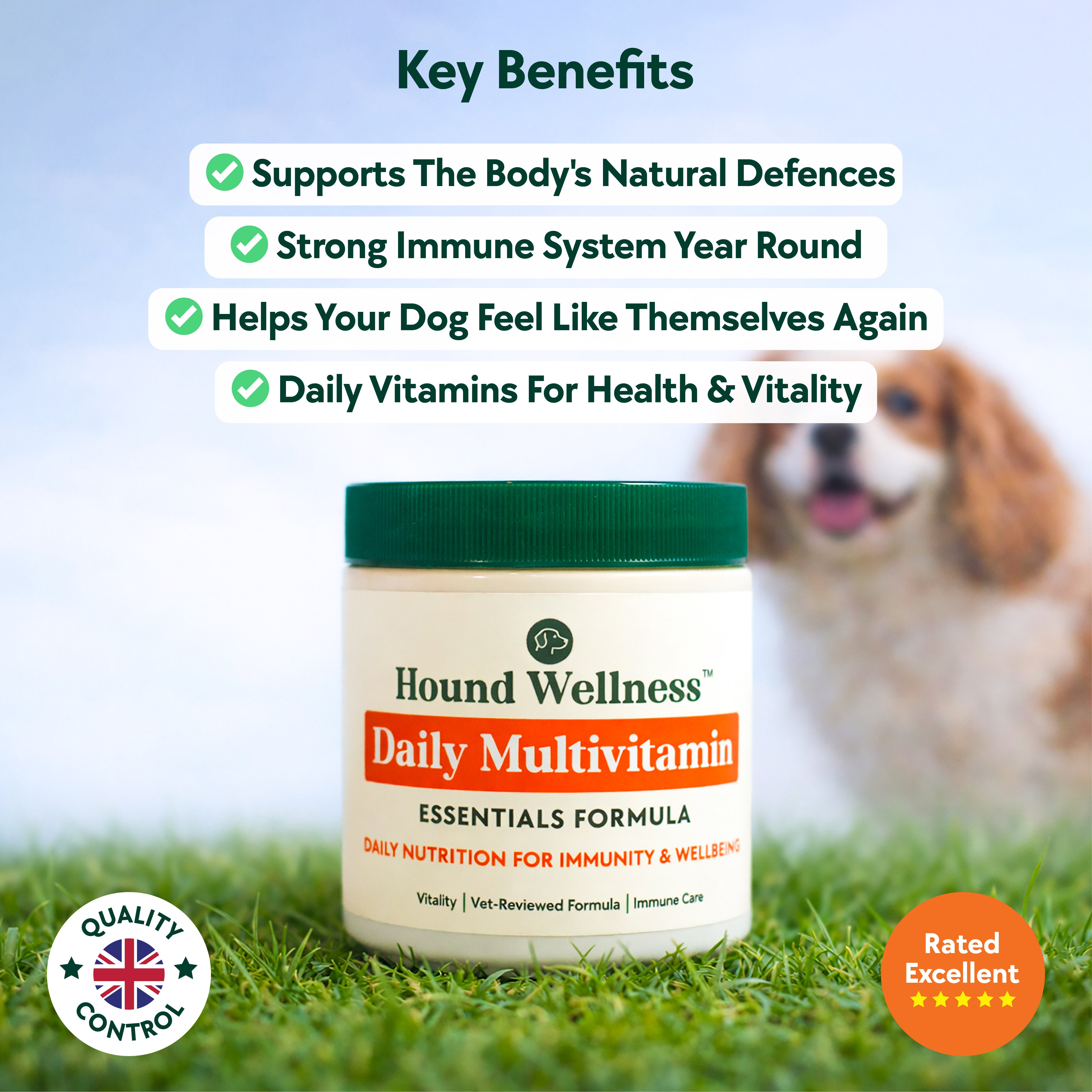 Daily Multivitamin Formula