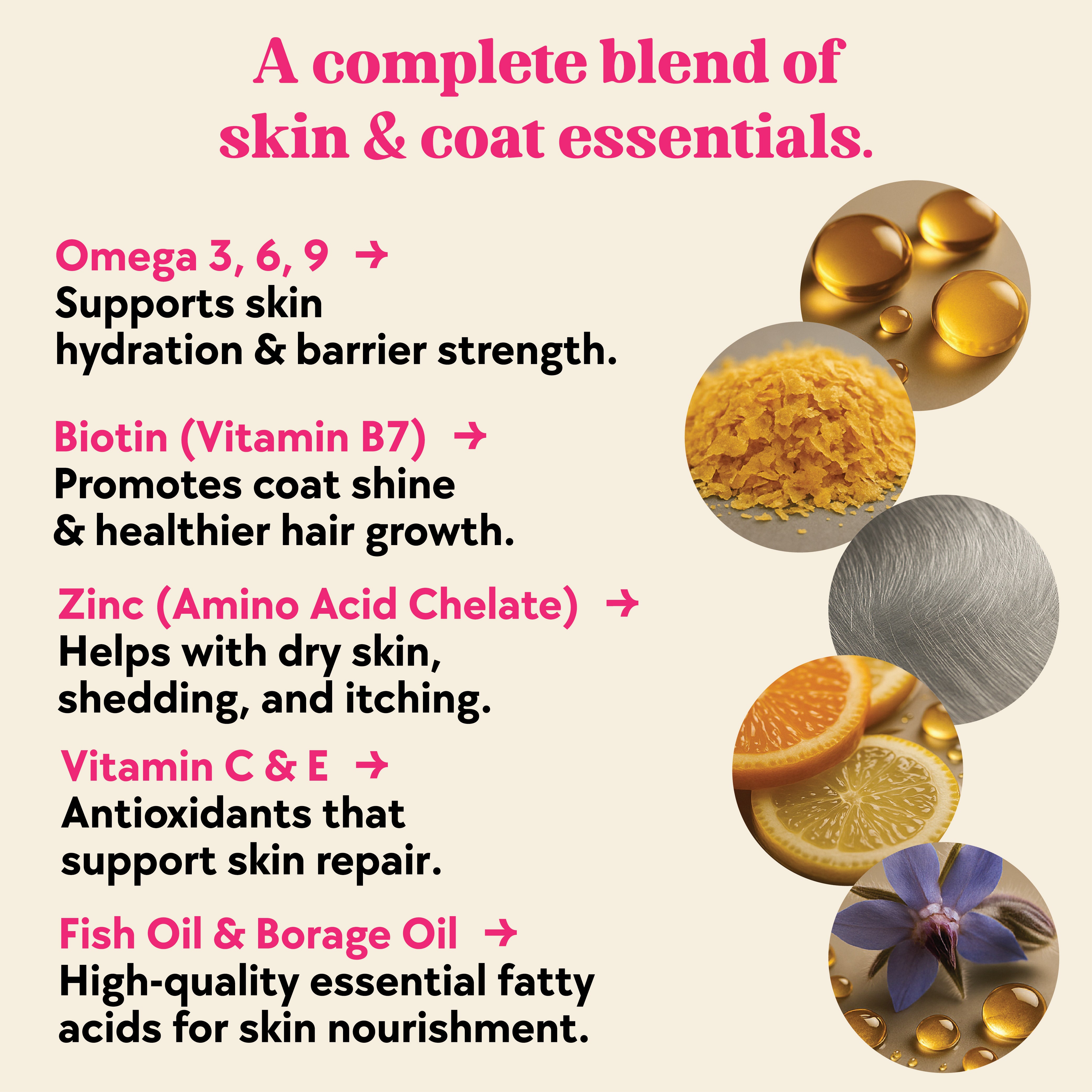 Skin & Coat Formula