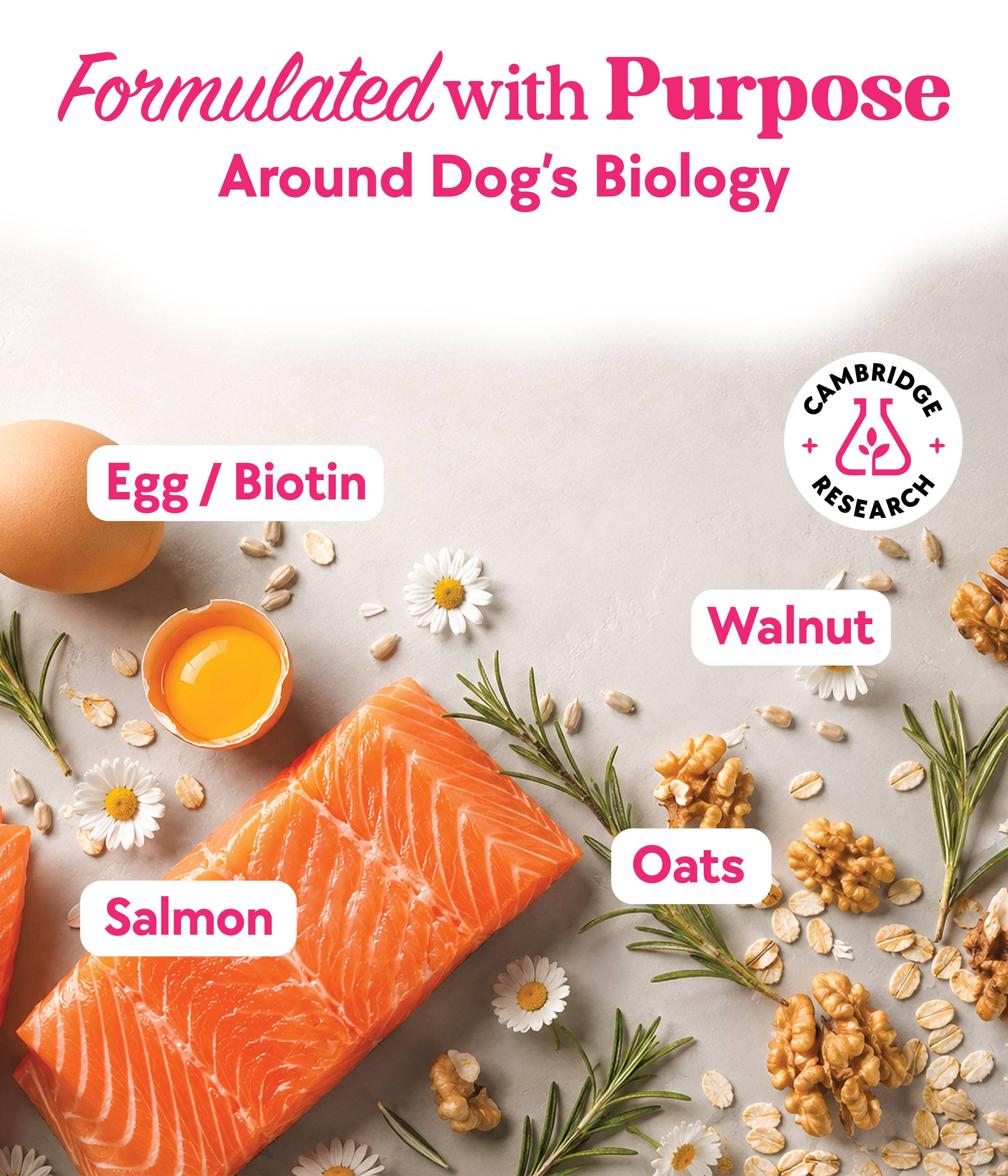 Skin & Coat Formula