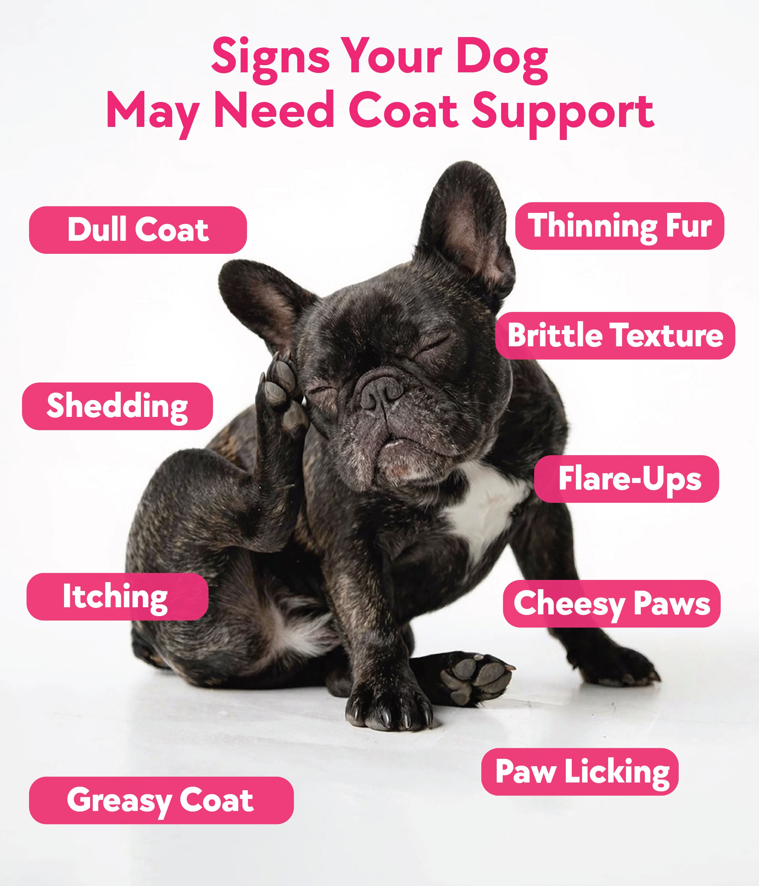 Skin & Coat Formula