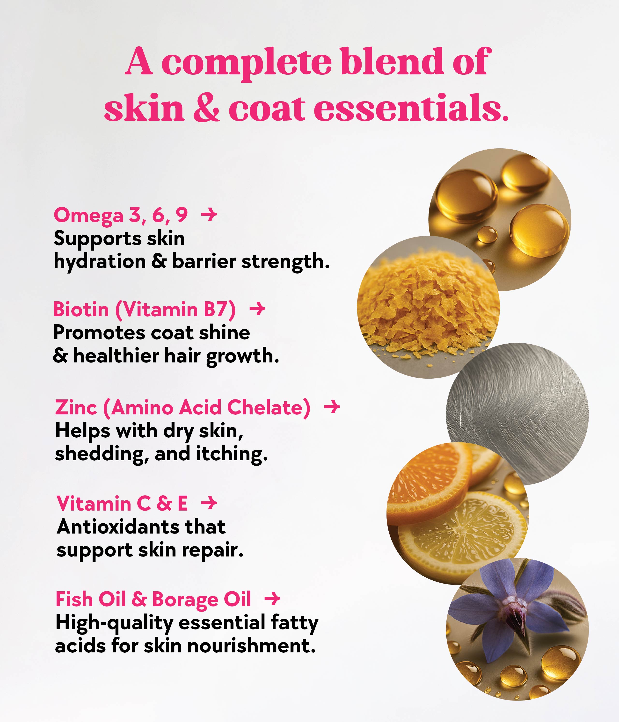 Skin & Coat Formula