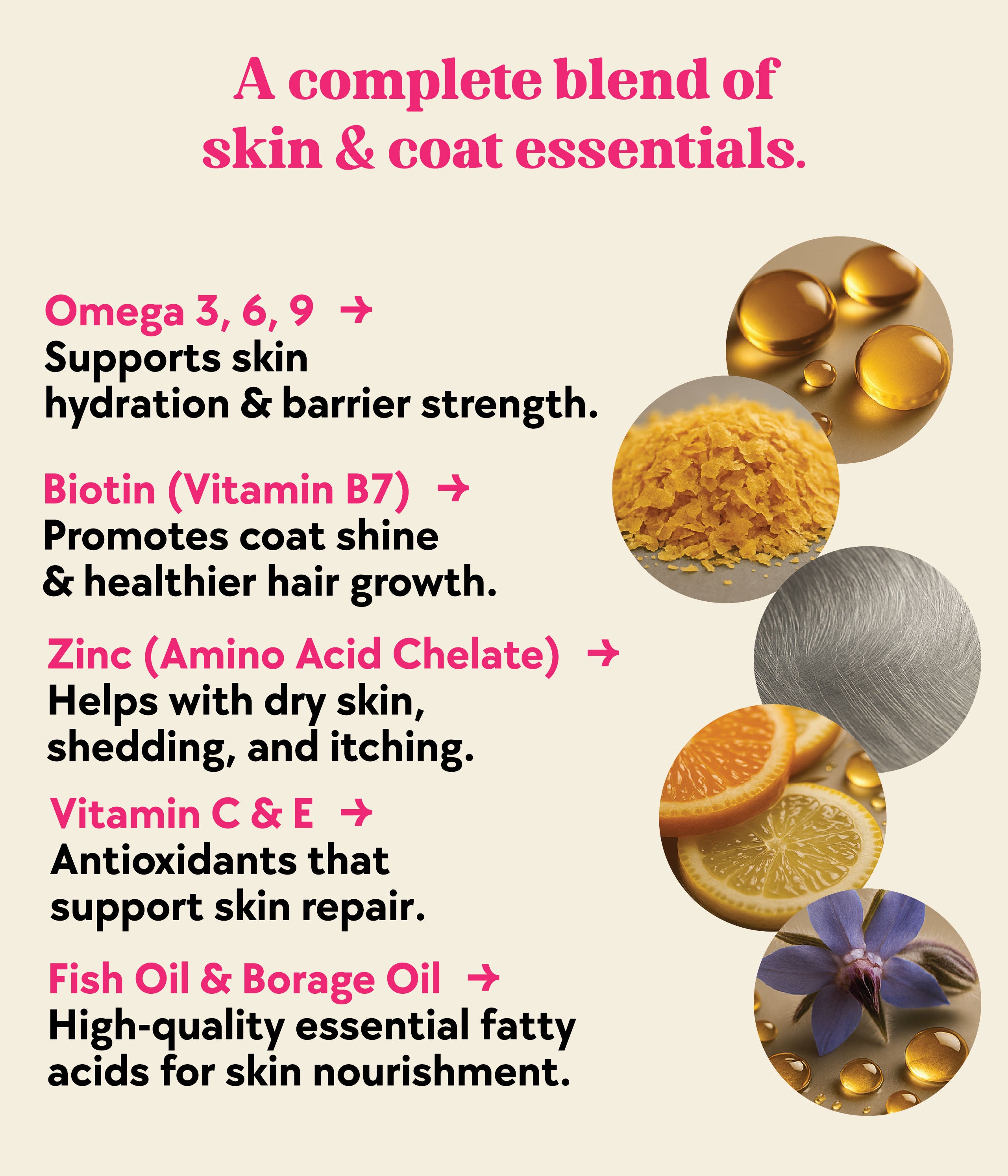 Skin & Coat Formula