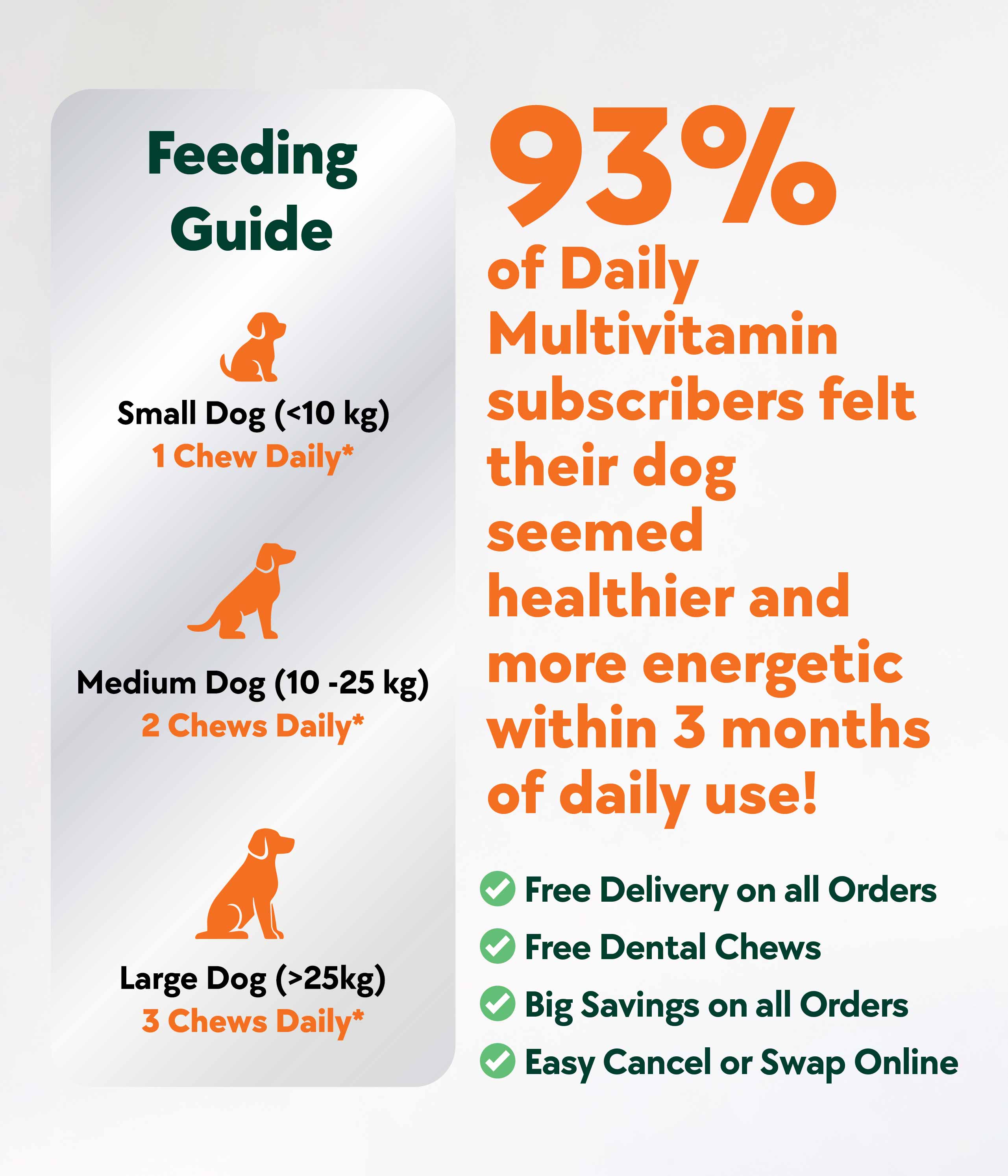 Daily Multivitamin Formula