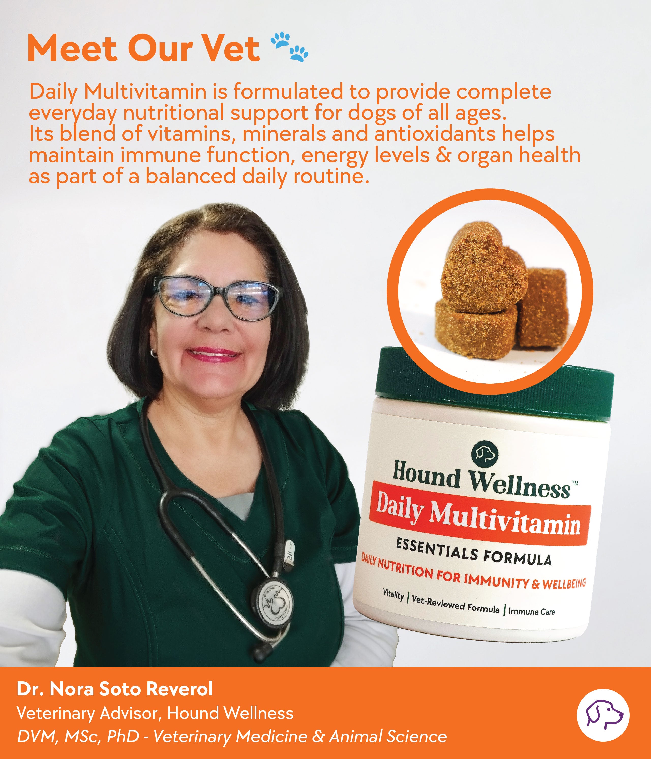 Daily Multivitamin Formula