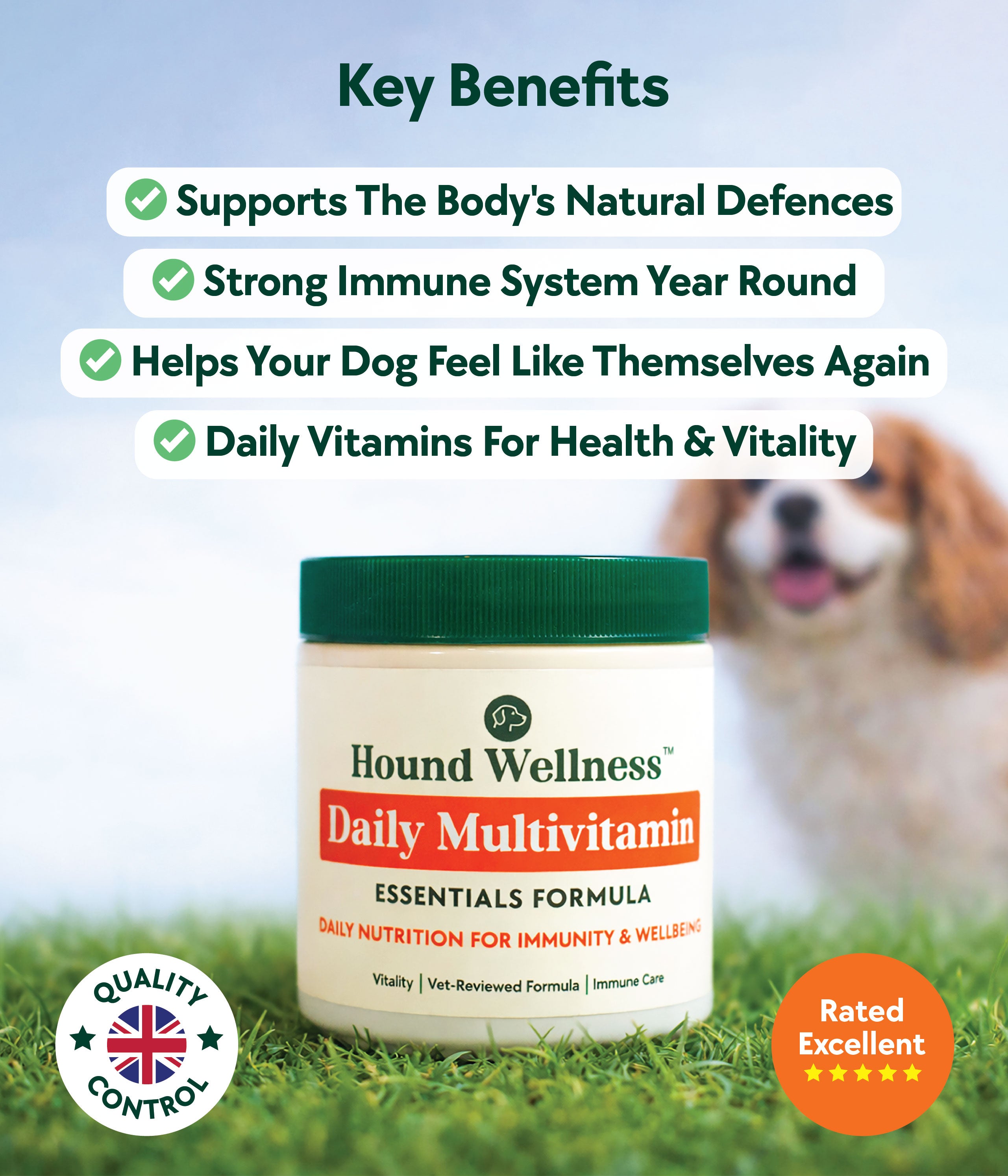 Daily Multivitamin Formula