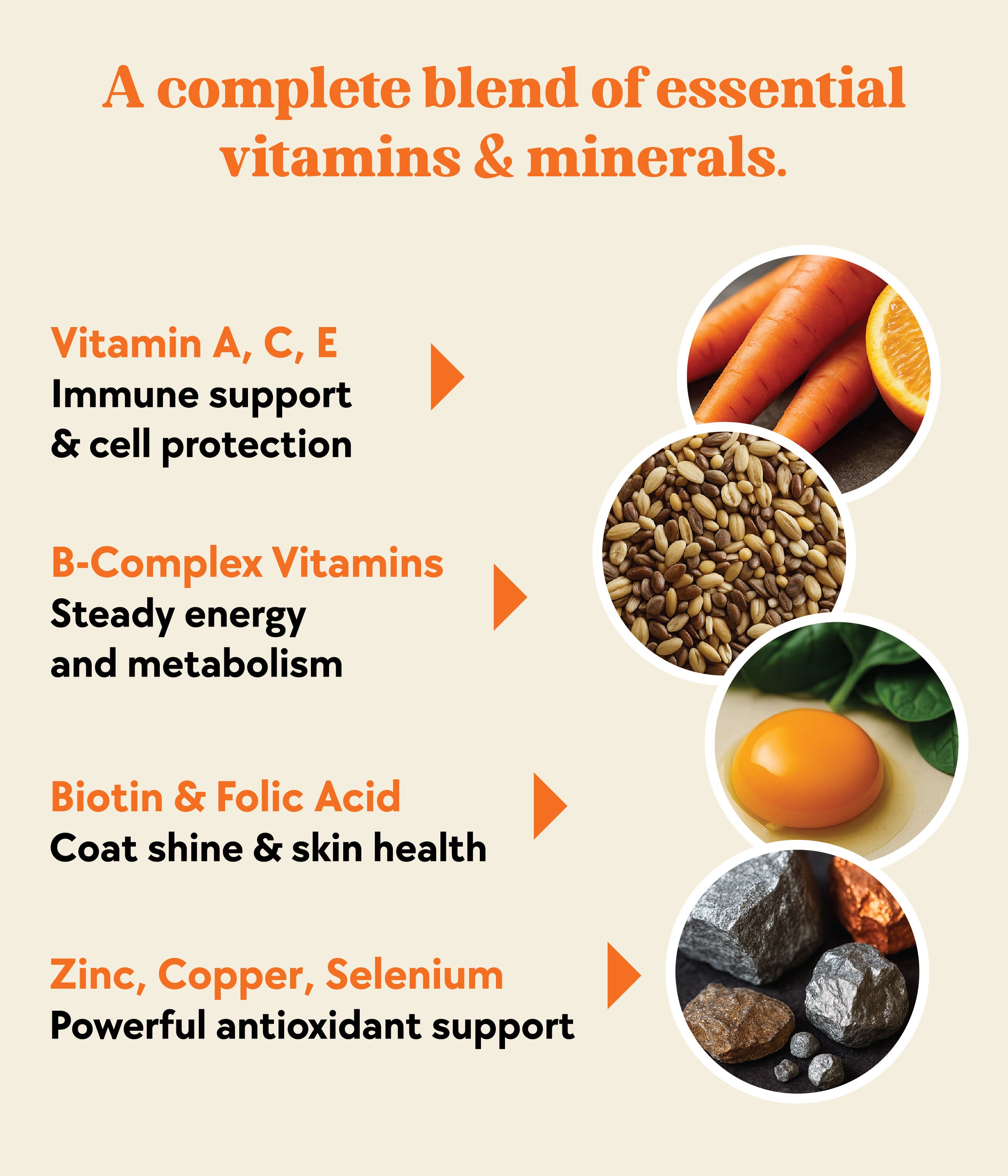 Daily Multivitamin Formula