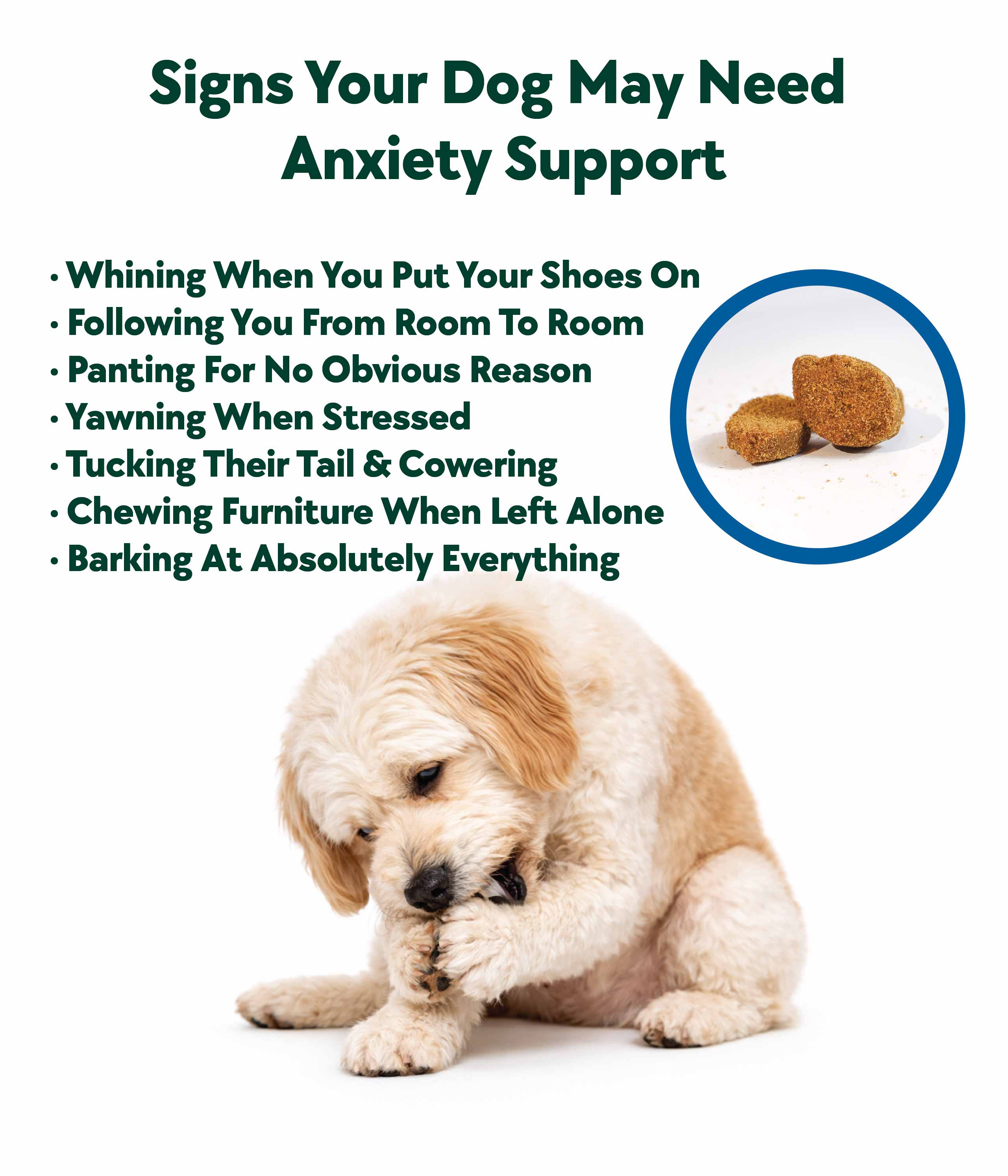 Calming & Anxiety Formula