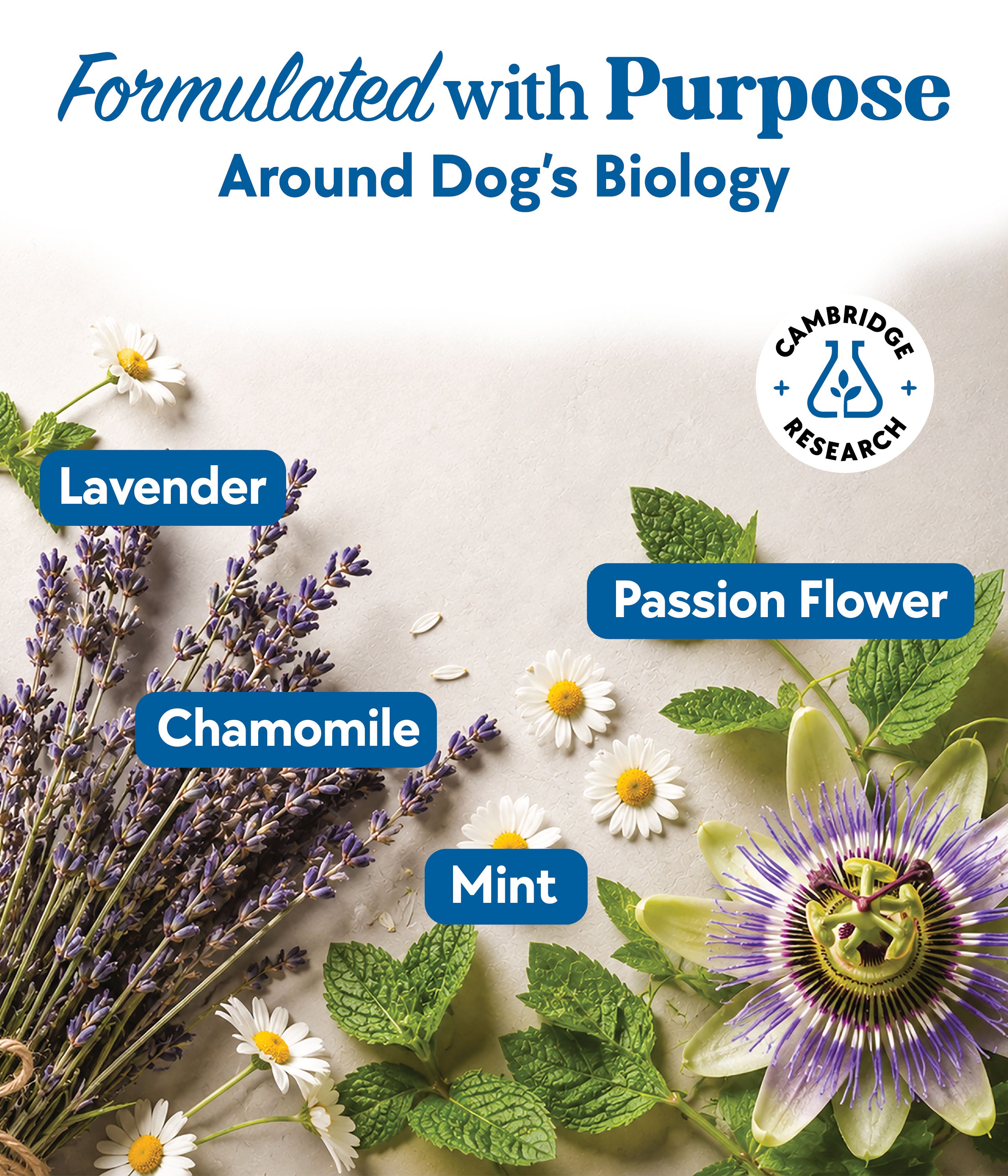Calming & Anxiety Formula