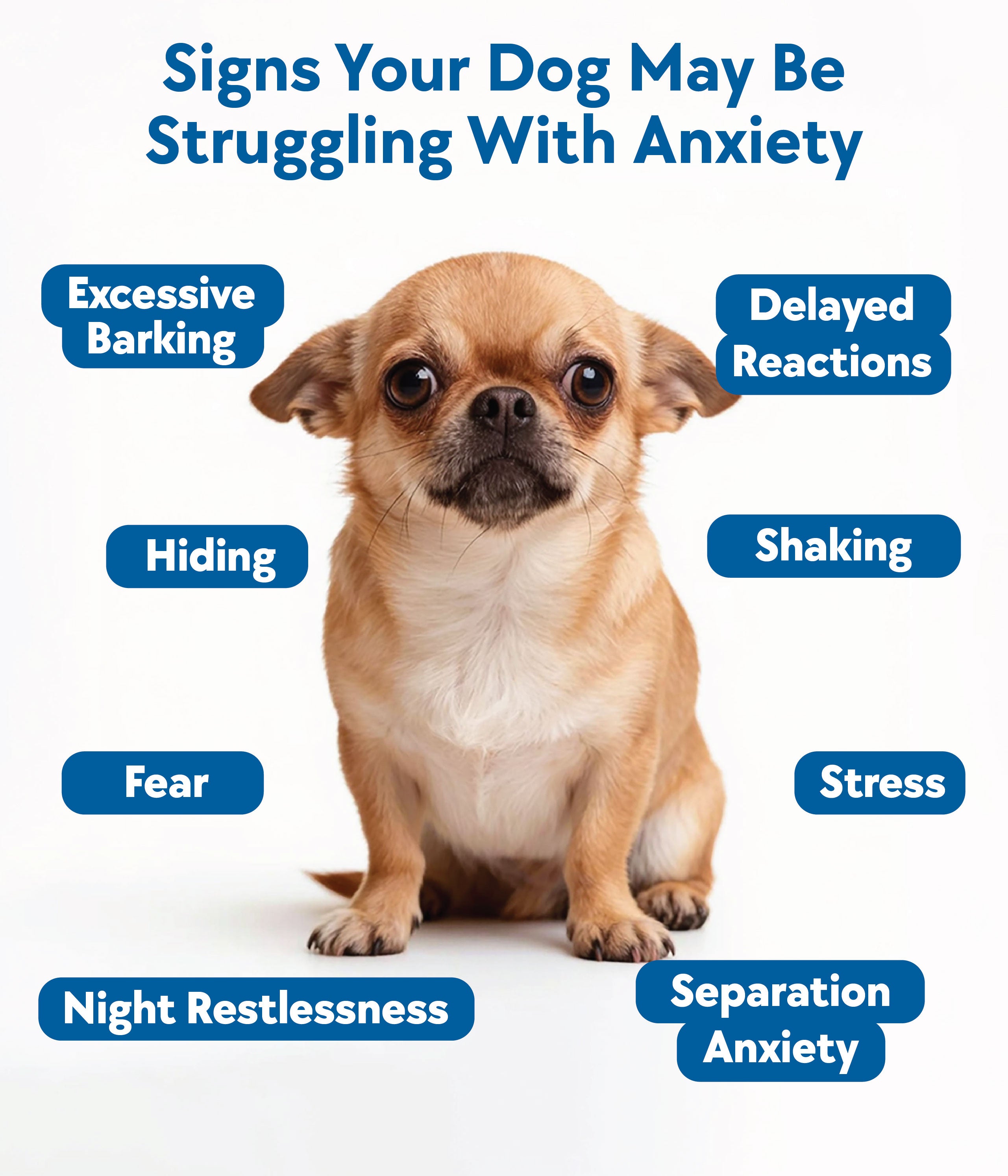 Calming & Anxiety Formula