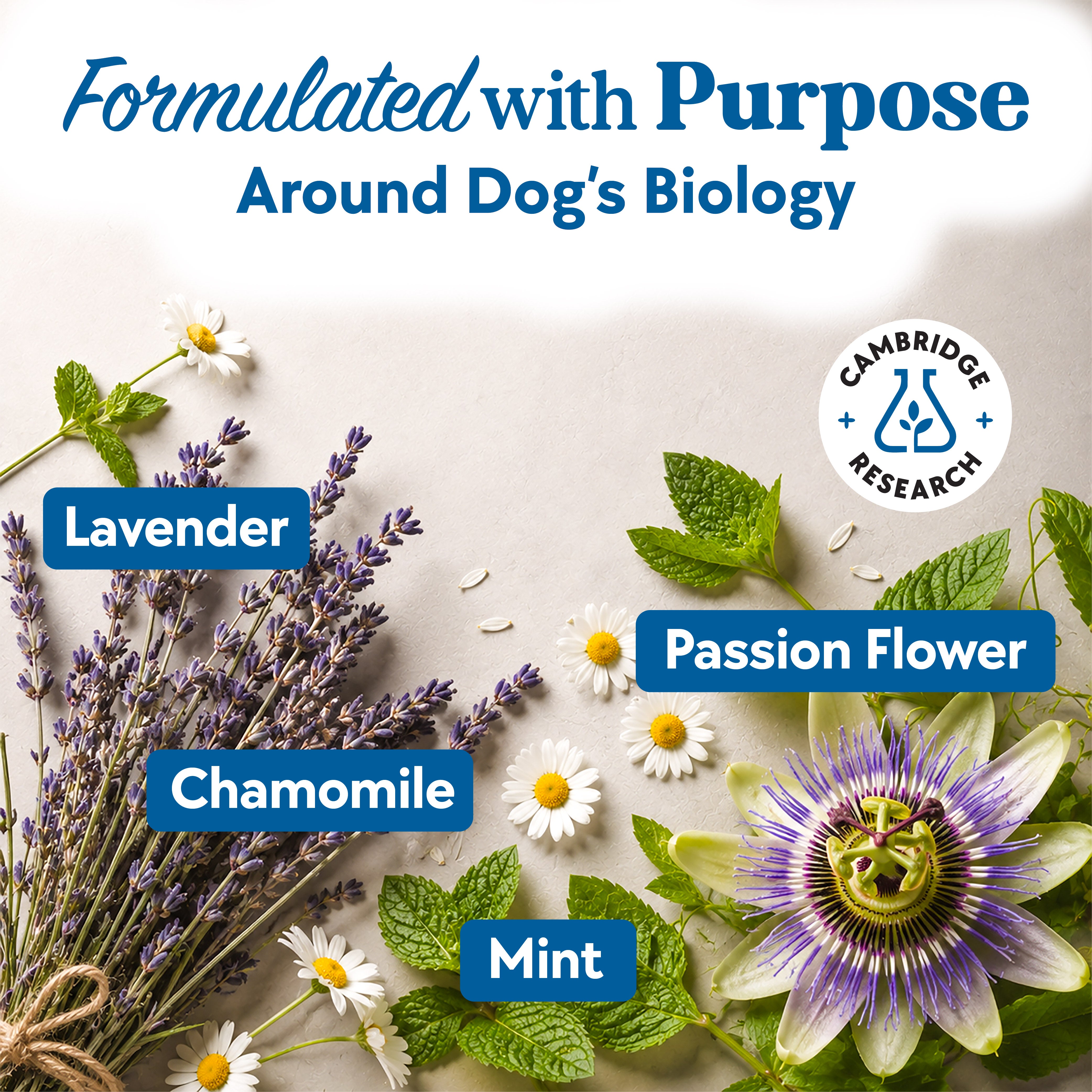 Calming & Anxiety Formula
