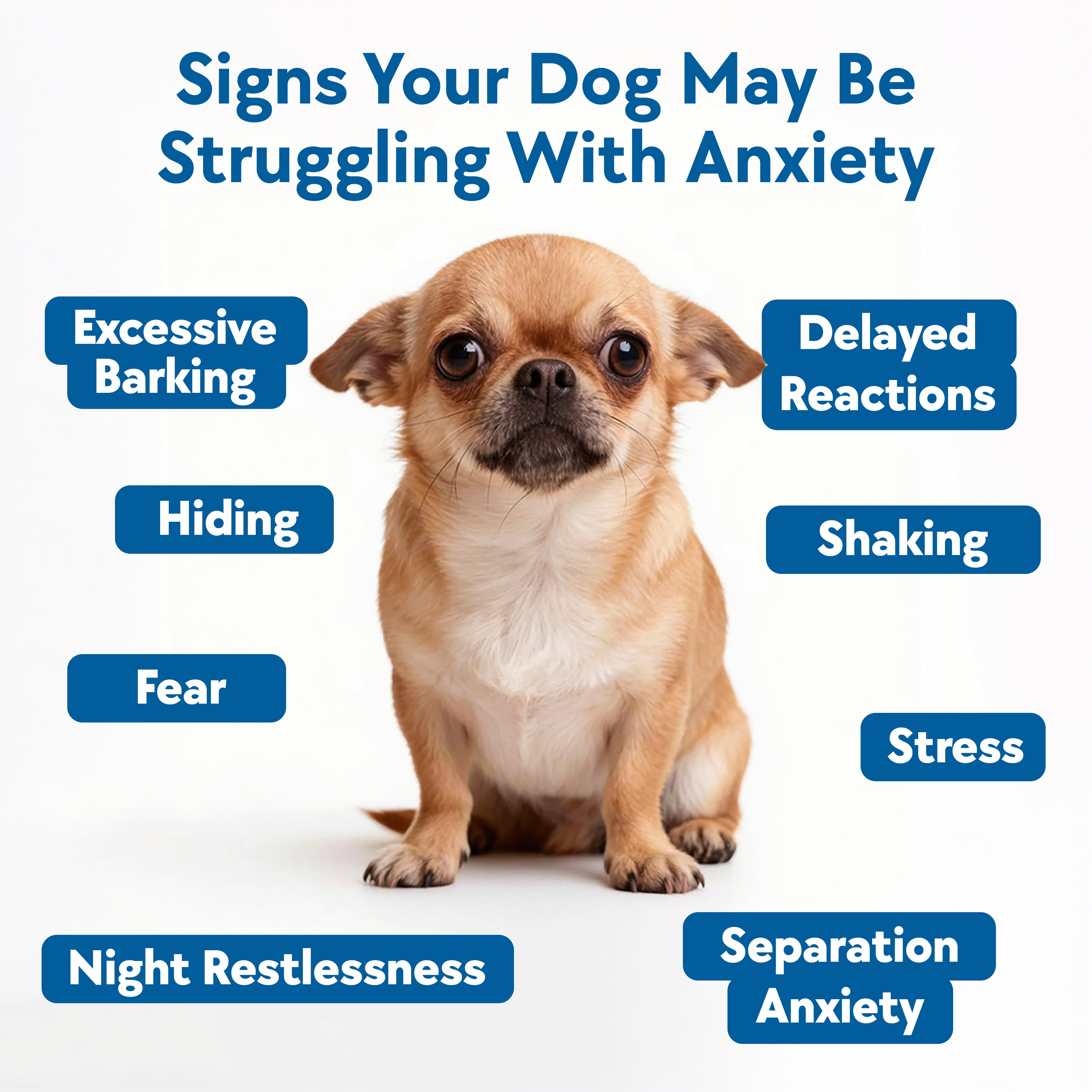 Calming & Anxiety Formula