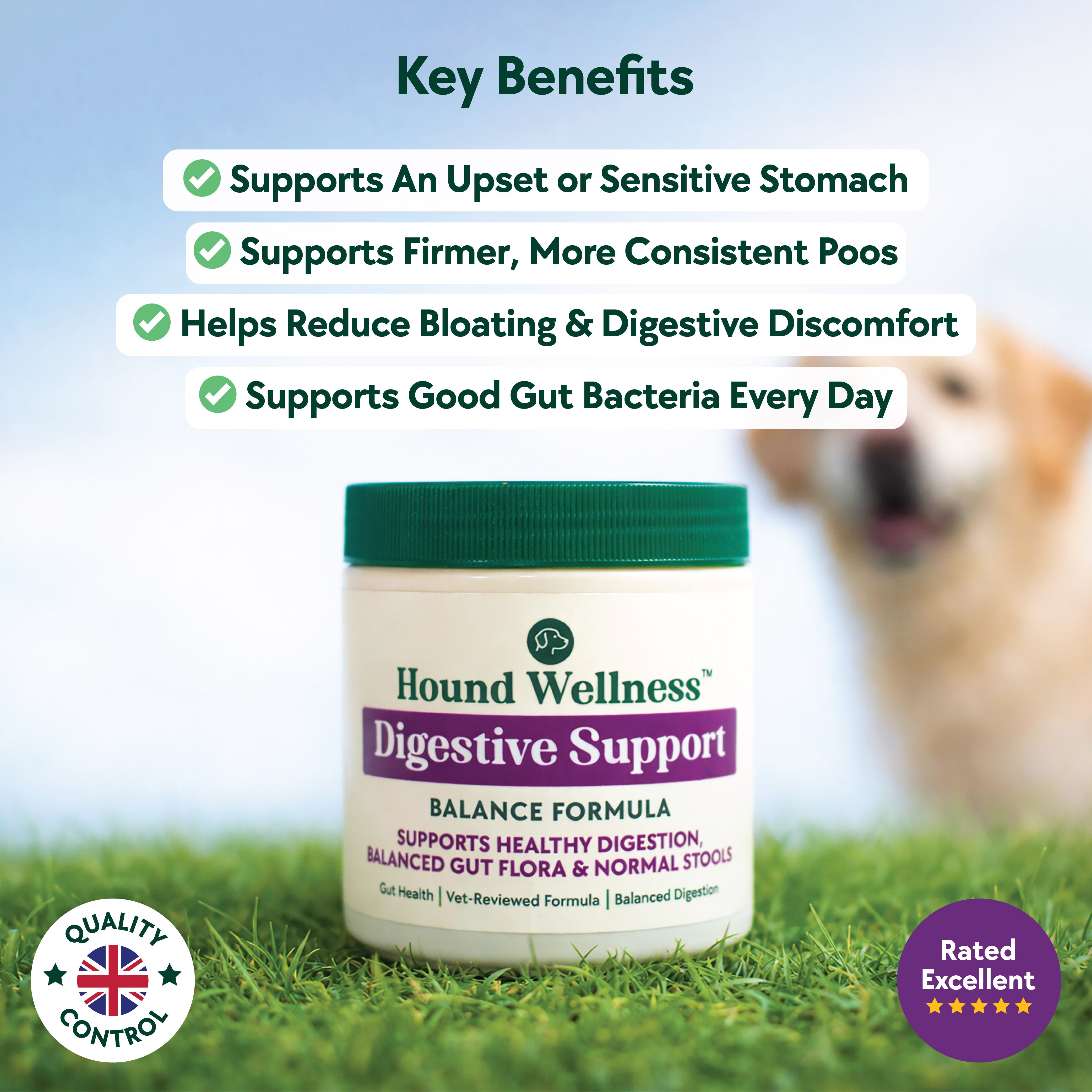 Digestive Support Formula