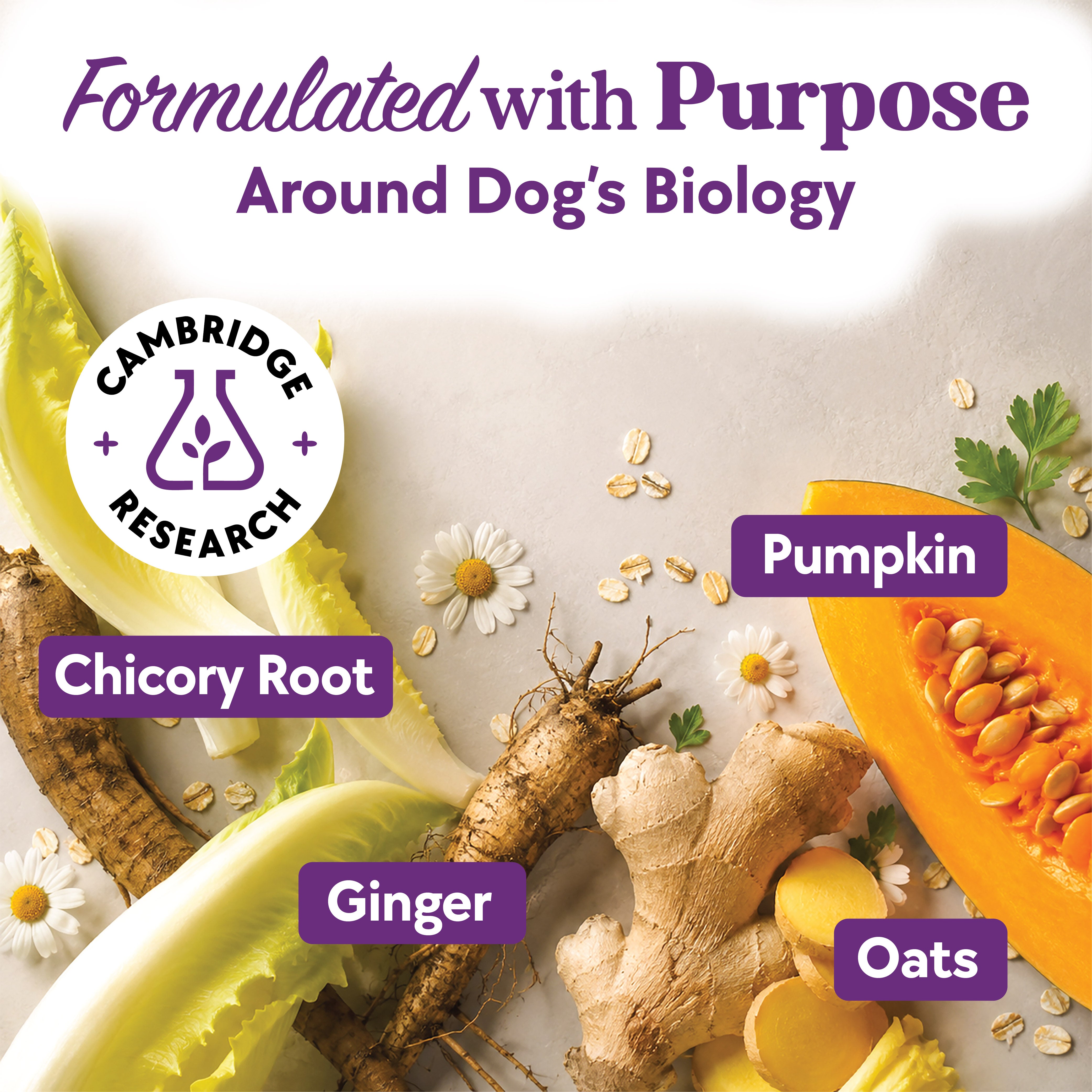 Digestive Support Formula