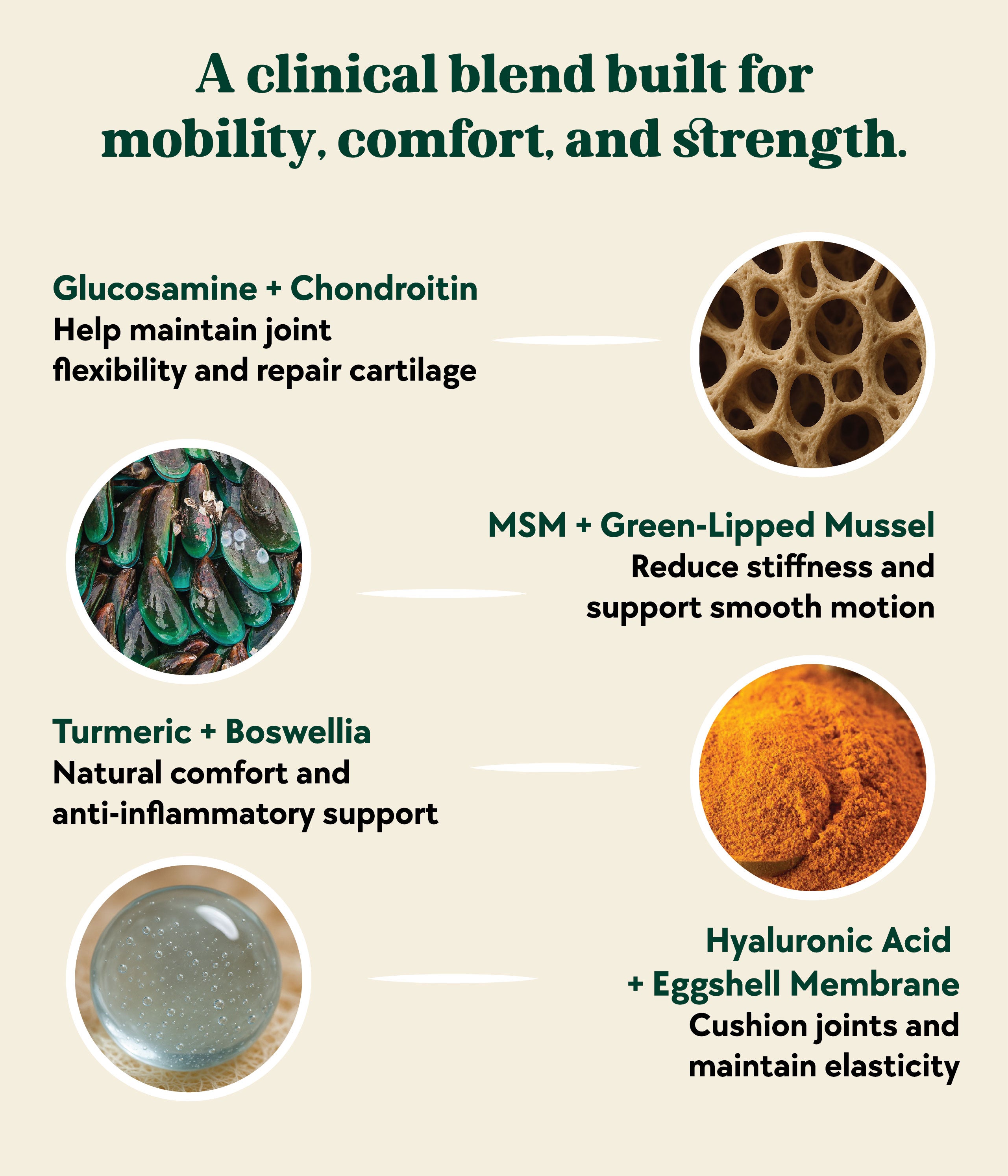 Hip & Joint Formula
