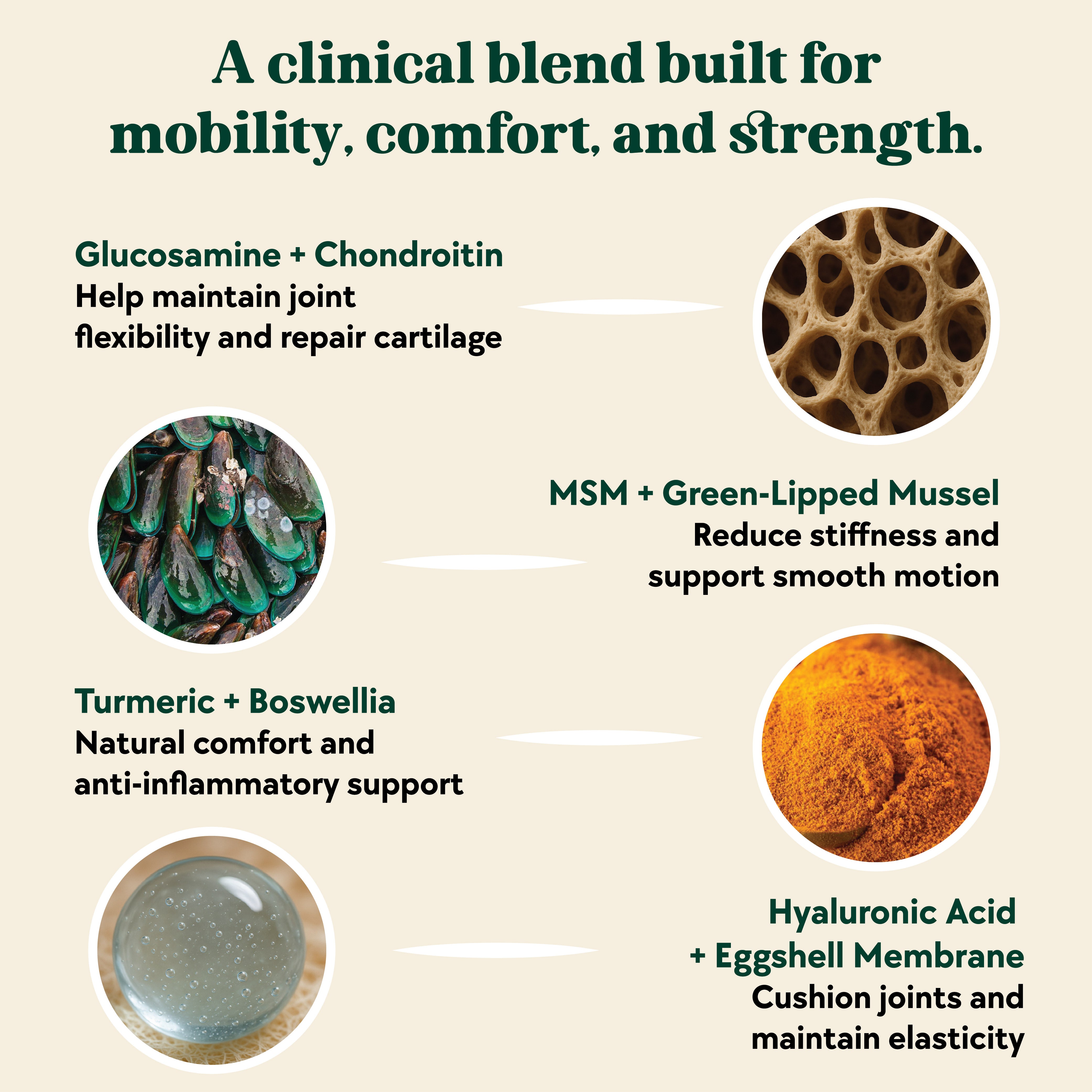 Hip & Joint Formula