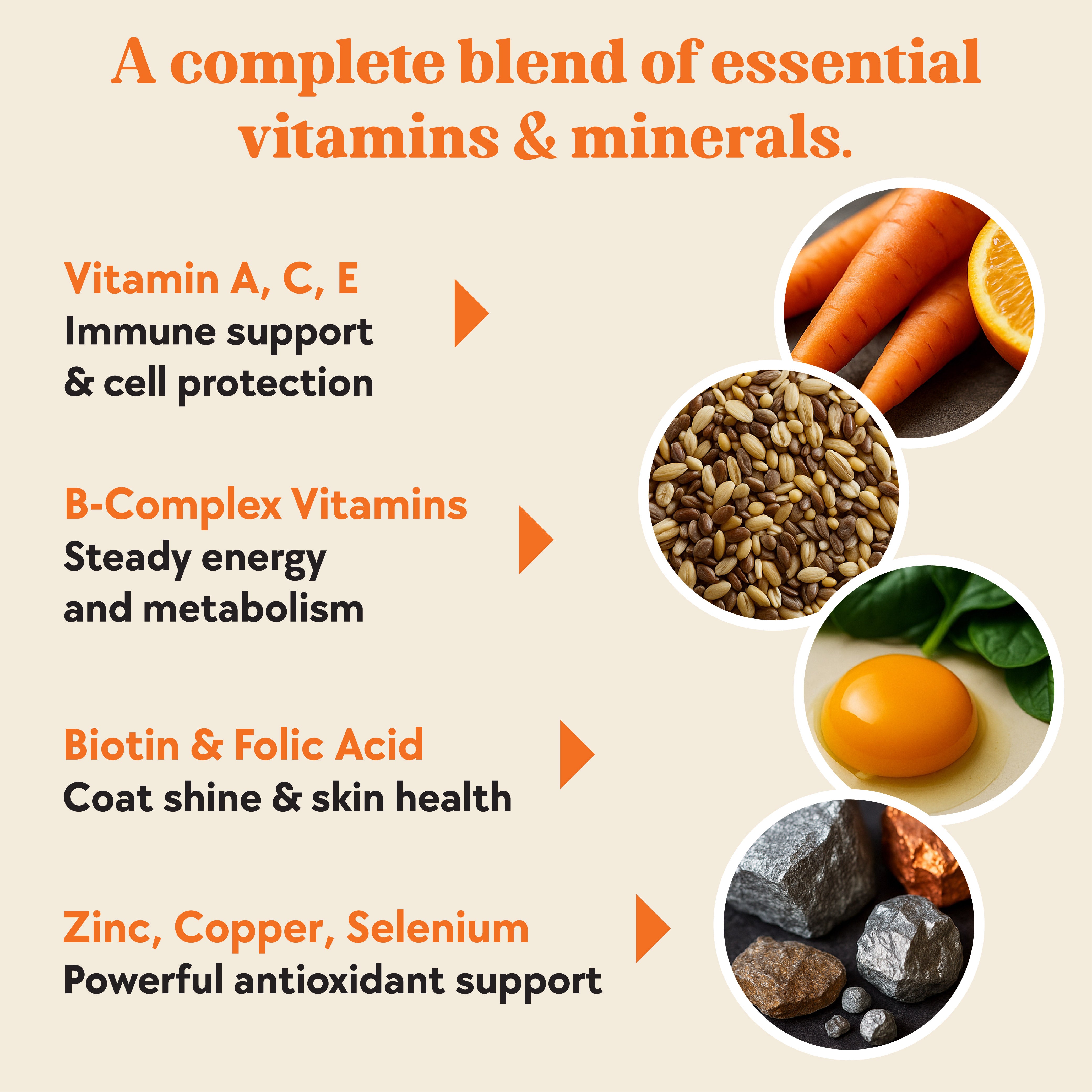 Daily Multivitamin Formula