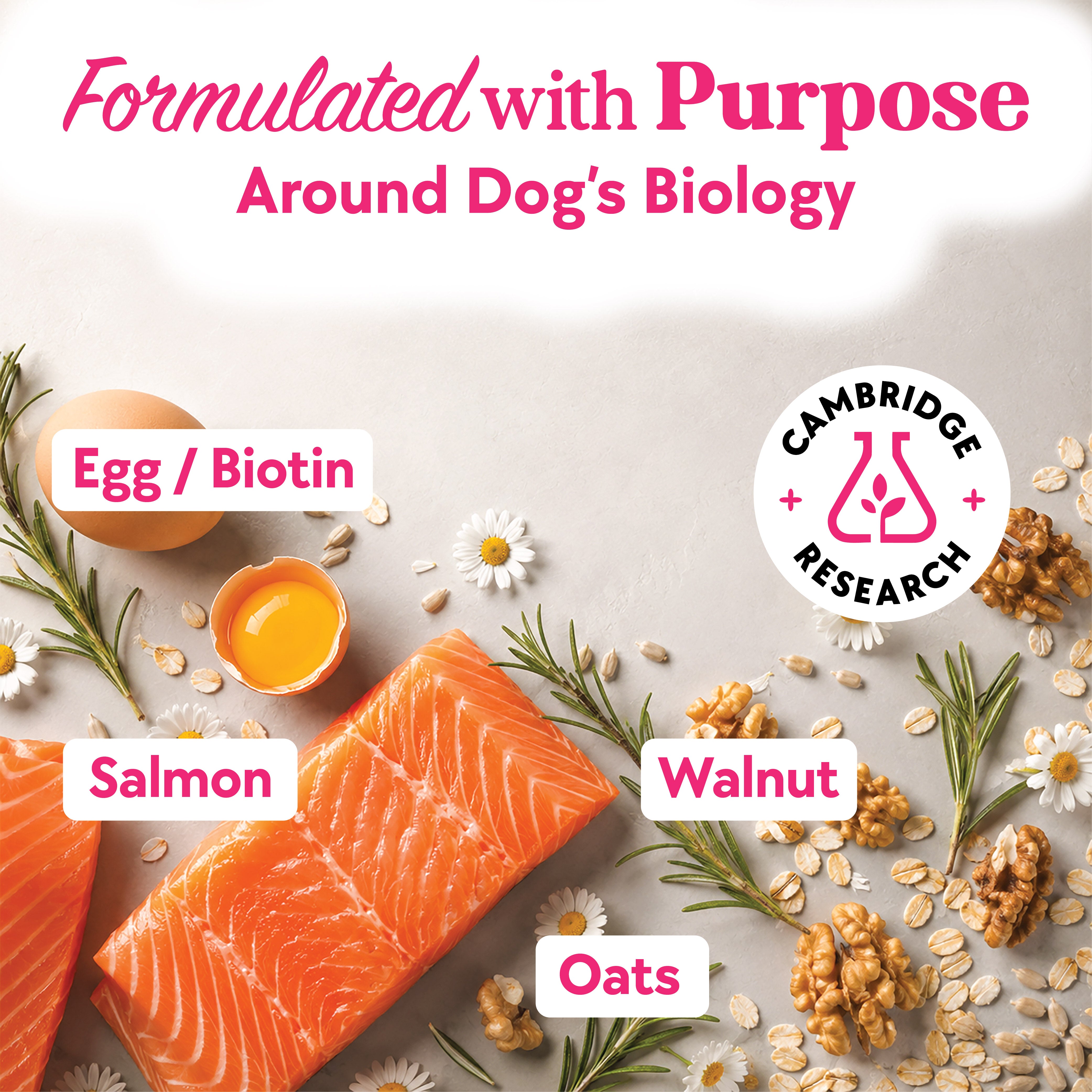 Skin & Coat Formula