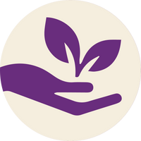 Digestive Balance Support