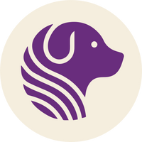 Gut Health Maintenance