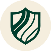 Daily Mobility Routine